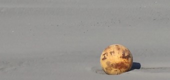 ANOMALÍAS – Japón | Aún nadie sabe qué es la esfera hallada en las playas de Japón.