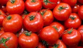 GENERALES – Alimentos | Alarma un virus en el tomate marplatense proveniente de Tel Aviv.