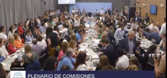 TV DIRECTO – Congreso | El Plenario de Comisiones en Diputados busca aprobar un dictamen de la Ley anti argentina.