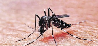 SOCIEDAD – Plutocracia | El dengue ya mató a 140 personas pero a Milei no le importa.
