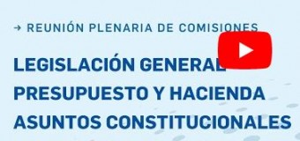 TV DIRECTO – Senado | Plenario de Comisiones por la Ley Bases para la destrucción de la Argentina.